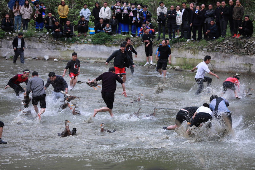 4月23日，群眾在新民村參加搶鴨子比賽。