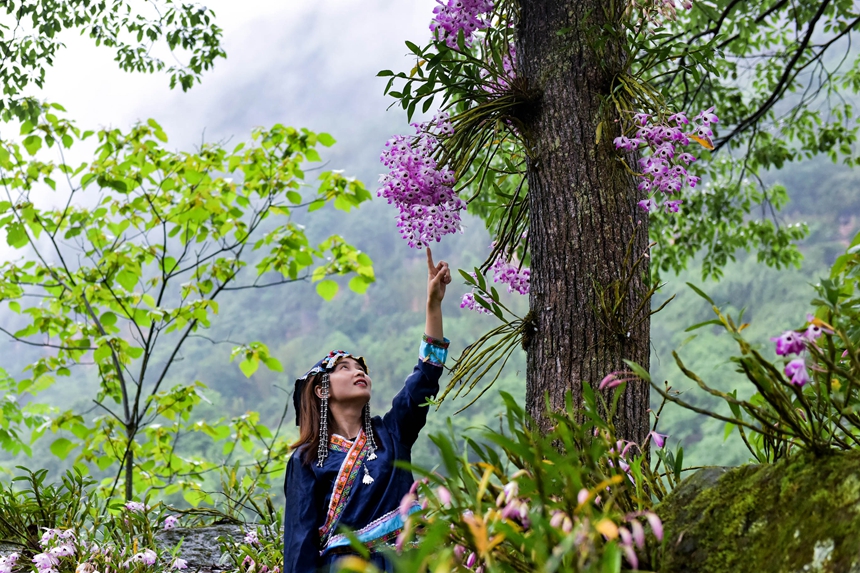 花開滿園。王懷茂攝