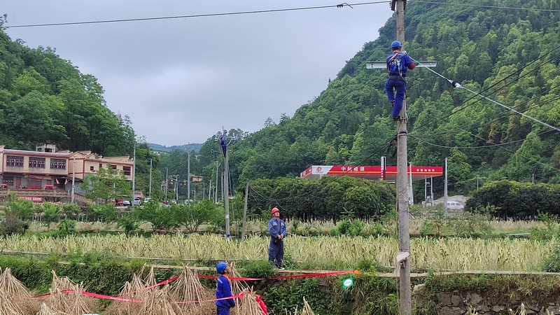 修文供電局工作人員正在施工。羅志勇攝