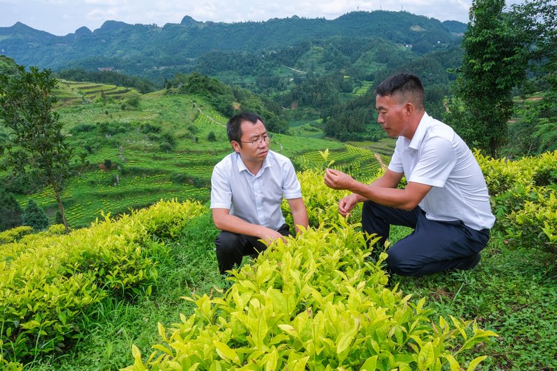 洪明進(jìn)行實地考察。受訪者供圖