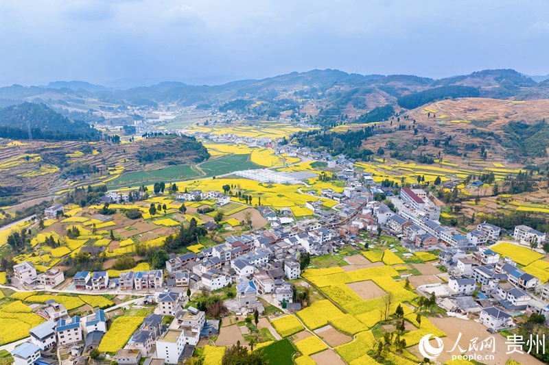 3 航拍如詩(shī)如畫的貴州省遵義市桐梓縣官倉(cāng)鎮(zhèn)紅旗村。 人民網(wǎng)記者 涂敏 攝