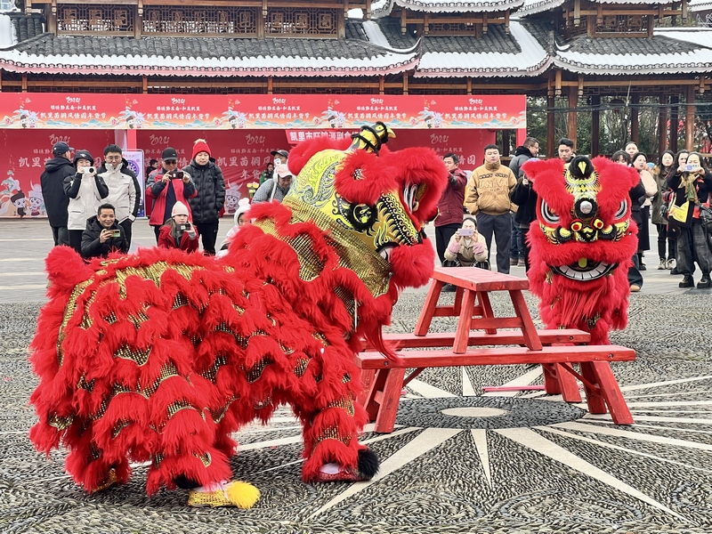 市民紛紛前來看表演、購年貨。