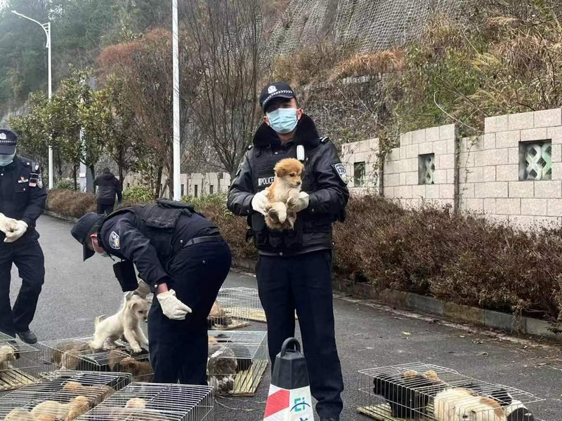 接到報(bào)警后，永樂(lè)鄉(xiāng)派出所民警迅速趕到現(xiàn)場(chǎng)。