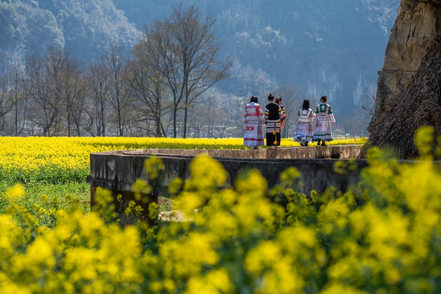 游客踏青賞花。羅大富攝