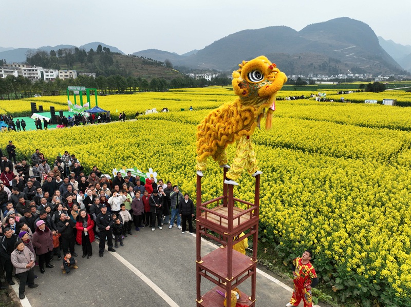 活動現(xiàn)場。王印 攝