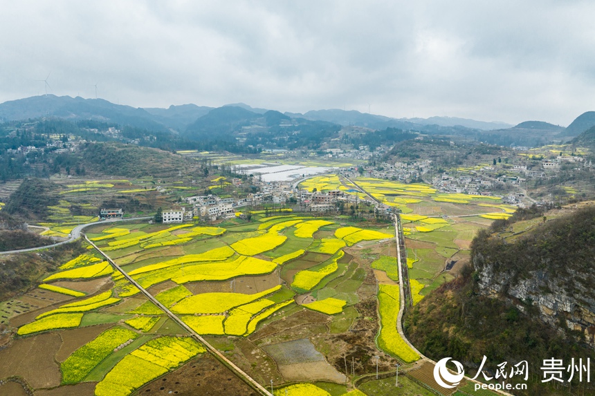 航拍貴州省清鎮(zhèn)市流長苗族鄉(xiāng)春色。人民網(wǎng)記者 涂敏攝