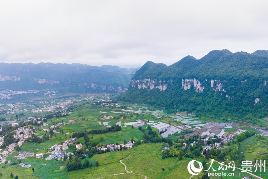 航拍貴州省畢節(jié)市大方縣對(duì)江鎮(zhèn)石桅村“大方皺椒”種植基地。人民網(wǎng)記者 涂敏攝