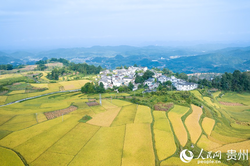 航拍貴陽(yáng)市花溪區(qū)高坡苗族鄉(xiāng)梯田。人民網(wǎng)記者 涂敏攝