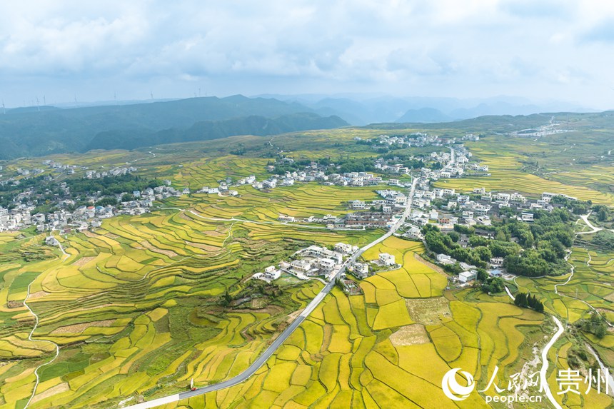 航拍貴陽市花溪區(qū)高坡苗族鄉(xiāng)梯田。人民網(wǎng)記者 涂敏攝