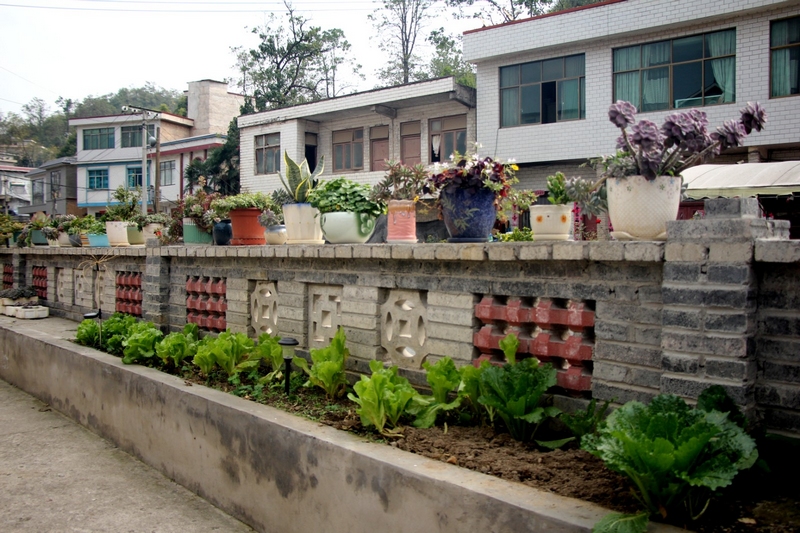 小圍墻套上花池，圍墻鑲嵌各類(lèi)鏤空的窗花，花池種滿蔬菜、綠植 修文縣融媒體中心姜繼恒 攝