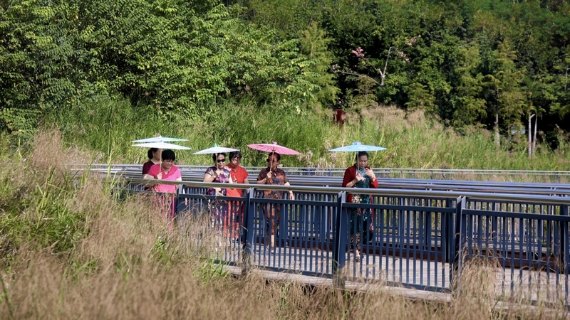 市民在公園小道上散步