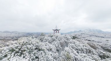 百里杜鵑裹銀裝 宛如水墨山水畫(huà)