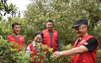 村企攜手 共繪鄉(xiāng)村振興新圖景