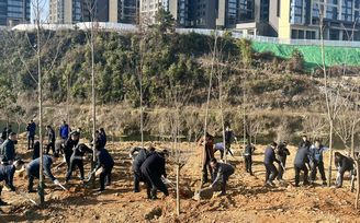 貴州：開年“上春山” 十年“植青綠”