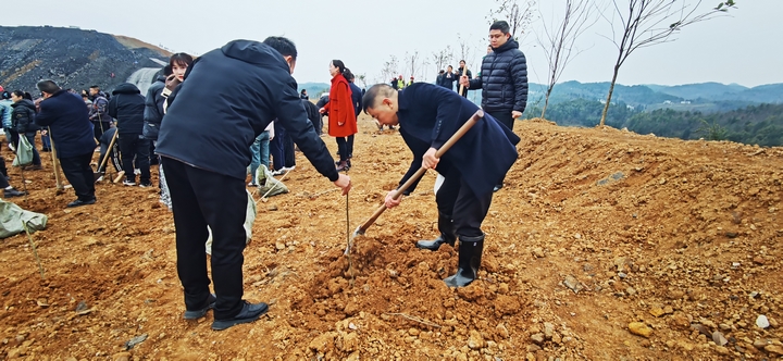 沙土鎮(zhèn)鎮(zhèn)村干部正在植樹。劉有飛攝