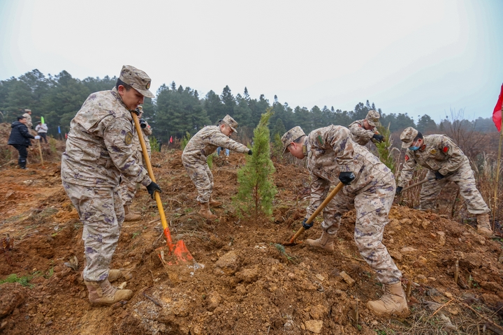 人武部官兵參加植樹。陳春志攝