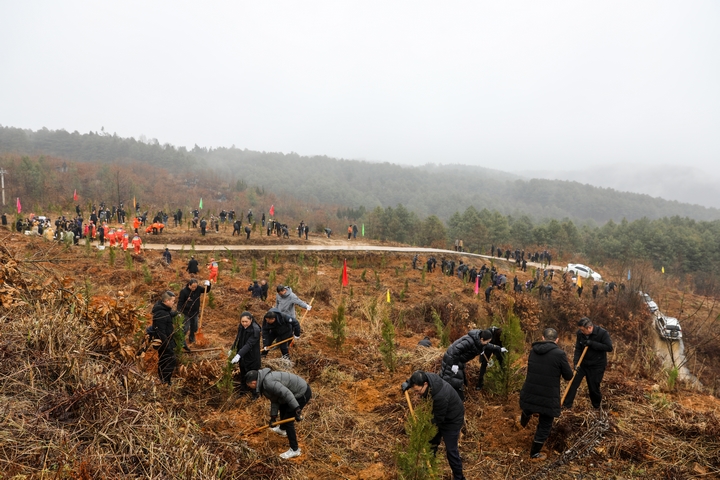 赫章縣3200余名干部職工開展義務植樹活動現(xiàn)場。胡彥攝