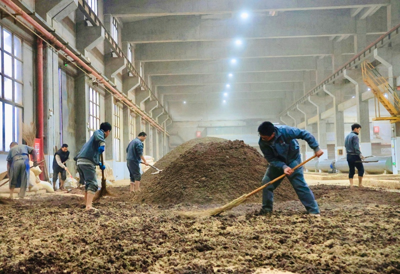 1、仁懷市茅臺(tái)鎮(zhèn)百年酒業(yè)有限公司車間內(nèi)工人正在攤涼。