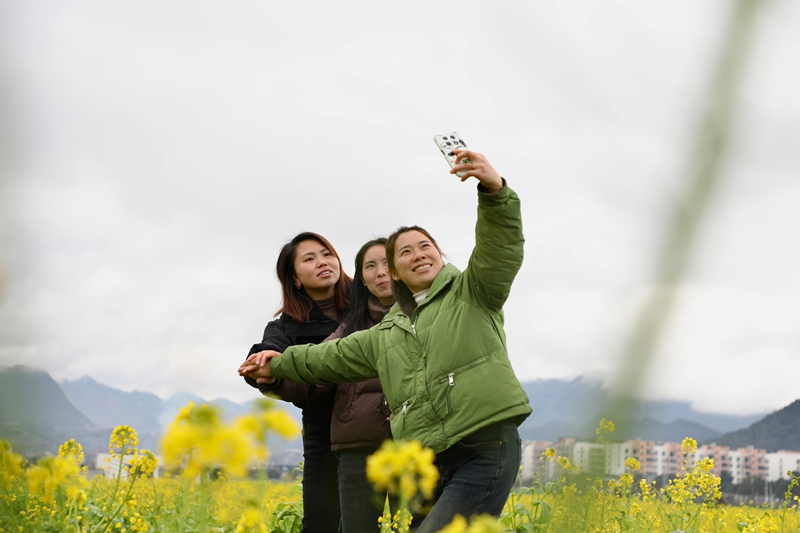 2 圖為綏陽旺草鎮(zhèn)競相綻放的油菜花吸引八方游客紛至沓來。.jpg