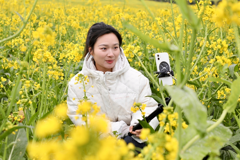 3 圖為綏陽旺草鎮(zhèn)競相綻放的油菜花吸引八方游客紛至沓來打卡。.jpg