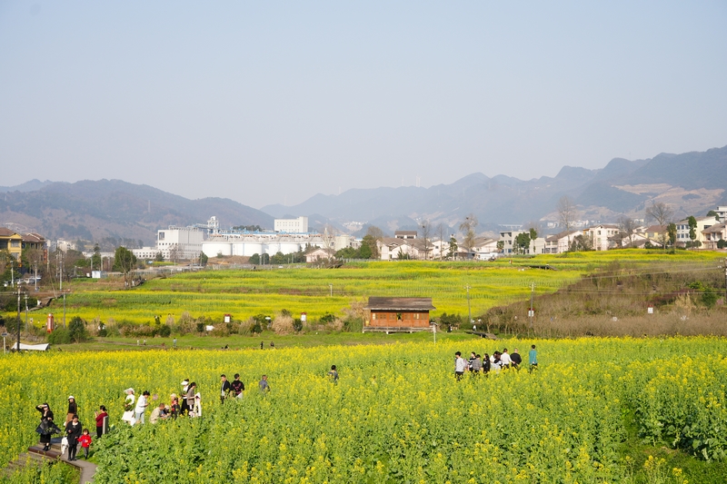 春意盎然的神采八卦園。