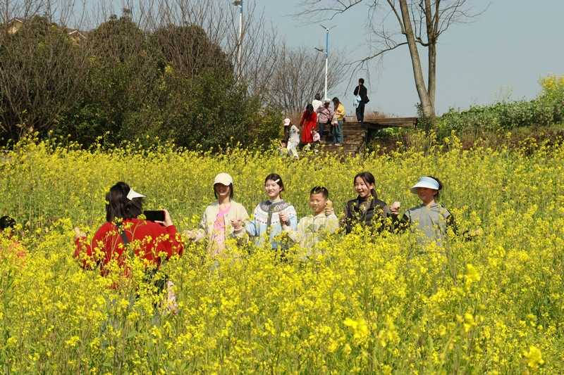 家長帶小朋友們在油菜花田里感受春日美好。