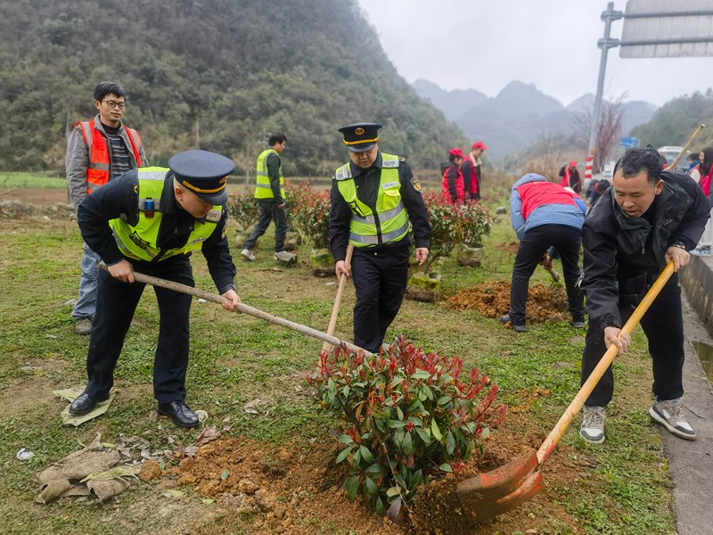 圖為植樹活動現(xiàn)場。