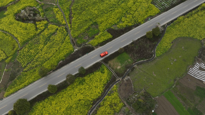 圖為黨建引領(lǐng)石頭寨千畝油菜綻“富”花。