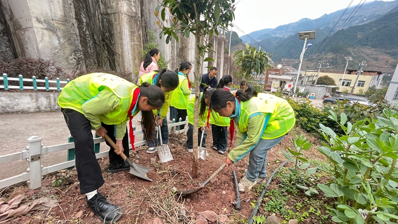 官店小學(xué)學(xué)生們揮鍬培土，用心種植希望之樹(shù)。