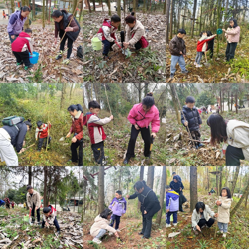 習(xí)水縣第三幼兒園組織黨員教師、家委代表、師幼代表攜手開展了“珍愛自然.童心護(hù)綠”植樹節(jié)社會實(shí)踐活動(dòng)。